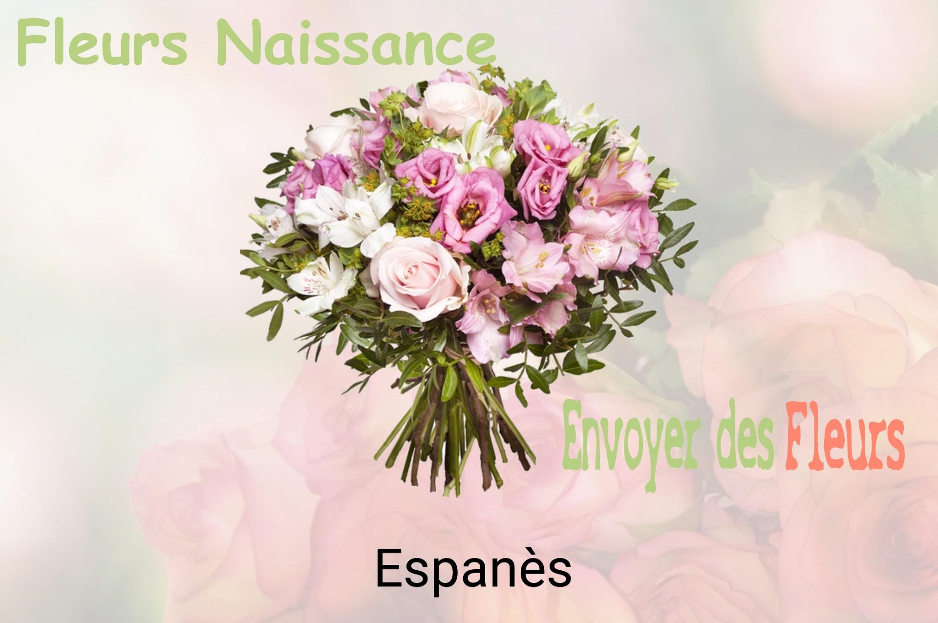 Bouquet de fleurs de naissance livré à Espanès